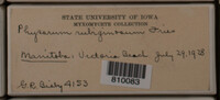 Image Associated With the Occurence